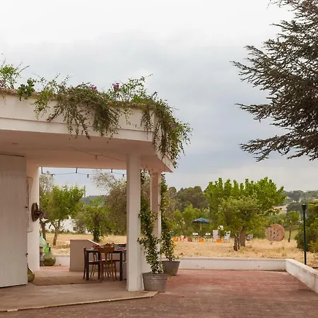 Gospodarstwo wiejskie Trulli 18_80 Ostuni
